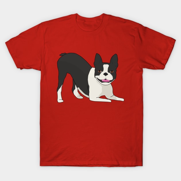 Boston terrier T-Shirt by AMCArts